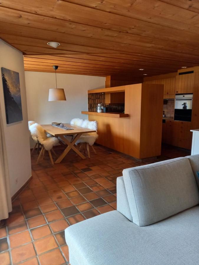 Appartement Aareschlucht- Grandiose Aussicht Fuer 2-6 Pers. Meiringen Exterior foto